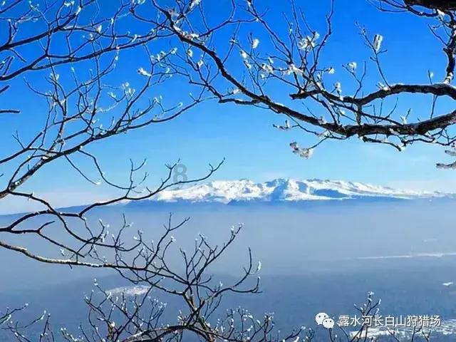 米体：佳夫预计20天后回归参加米兰合练，30天后复出