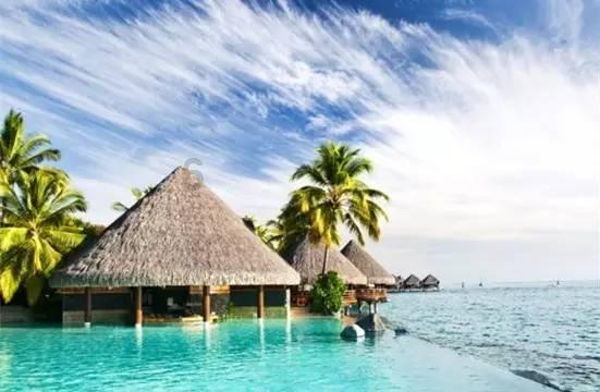 失忆的流浪者